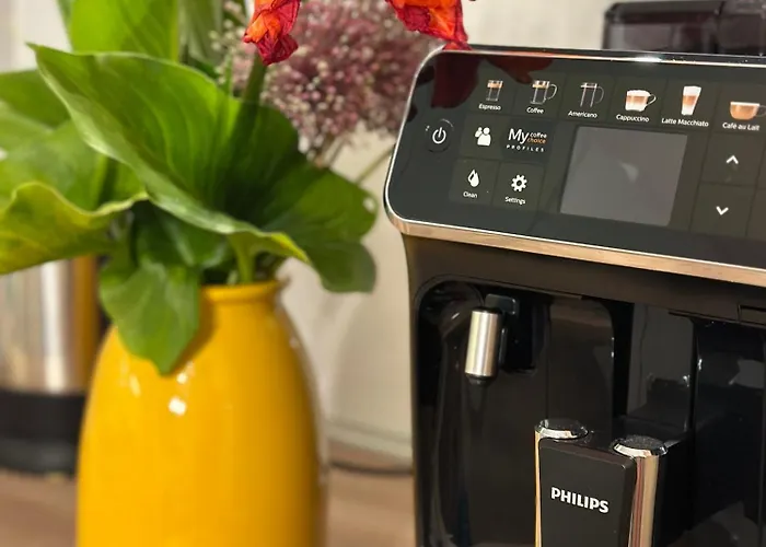 Apartment Sunny Split